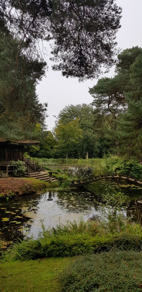 Tatton Park gardens Tatton Park, Engagement Shoot, Engagement Shoots, Country Roads, Road, Water, Nature