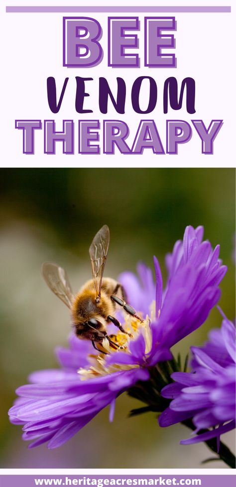 Join Nicole and Deb Elder of The Flippin Lyme Foundation as we discuss Live Bee Venom Therapy and its many uses. WHAT YOU’LL LEARN What is Bee Venom Therapy (or BVT)? How does BVT work? Is BVT Safe? How BVT helps Lyme patients Can BVT be used on pets? How much is BVT? Can I do Bee Venom Therapy myself? What is a Bee Victory Garden? #bees #beekeeping #backyard #farm #DIY #farmlife #garden #gardening #chickens #bees #beekeeping #beekeeper #honeybees #beecolony #hive #beehive Natural Health Tips Beehive Natural, Bee Therapy, Bee Venom Therapy, Farm Diy, Backyard Farm, Bee Colony, Bee Venom, Victory Garden, Natural Health Tips