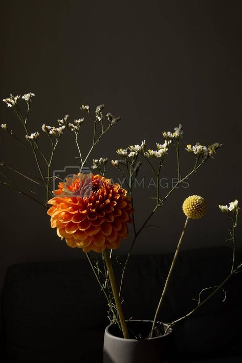 White Dried Flowers, Modern Bouquet, Flowers Dark, Flower Yellow, Dark Style, Yay Images, Dahlia Flower, Dark Fashion, Floral Bouquets