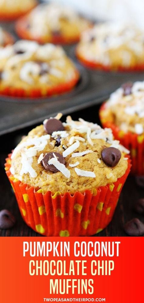 An easy pumpkin muffin perfect for a decadent fall dessert or breakfast! These Pumpkin Coconut Chocolate Chip Muffins are moist spiced pumpkin muffins with coconut and chocolate chips. Save this fun fall treat for kids! Easy Pumpkin Muffin, Homemade Horse Treats, Moist Pumpkin Muffins, Fun Fall Treats, Pumpkin Coconut, Pumpkin Muffins Easy, Coconut Muffins, Pumpkin Chocolate Chip Muffins, Coconut Chocolate