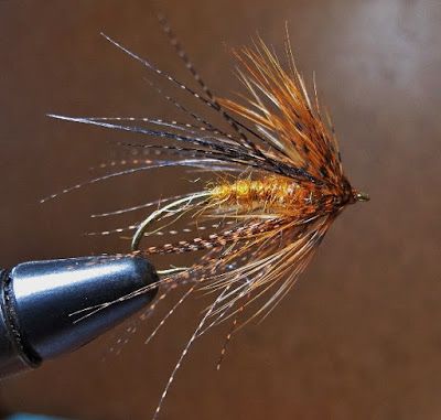 SOFT~HACKLE JOURNAL: A Few October Caddis Caddis Flies, Fly Casting, Diy Fishing, Conservation Of Natural Resources, Steelhead Flies, Fly Fishing Flies Pattern, Trout Flies, Custom Rods, Fly Fishing Tips