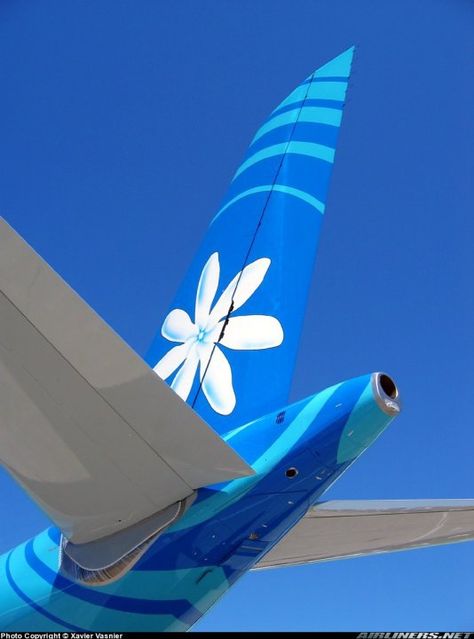 Air Tahiti Nui - Tiare flower Logo.  http://www.airtahitinui-usa.com/ Air Tahiti, Tahiti Nui, Tiare Flower, French West Indies, Fly Air, Airplane Fighter, Artsy Pictures, Aviation Photography, Beautiful Places On Earth