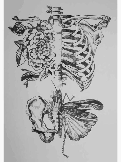 Biology Drawing, Biology Art, Skeleton Art, Sunflower Tattoo, Wow Art, Nature Tattoos, Anatomy Art, Flower Mandala, Cool Art Drawings