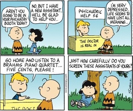 Schroeder Peanuts, Lucy Charlie Brown, Peanuts Snoopy Comics, Charlie Brown Comics, Doctor Assistant, Peanuts Quotes, Peanut Gallery, Snoopy Stuff, Snoopy Comics