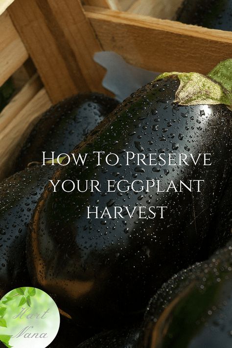 Preserve Eggplant, Preserving Eggplant, Canning Eggplant, Pickled Eggplant, Plating Food, Presentation Food, Eggplant Recipes Easy, Growing Organic Vegetables, Eggplant Dishes