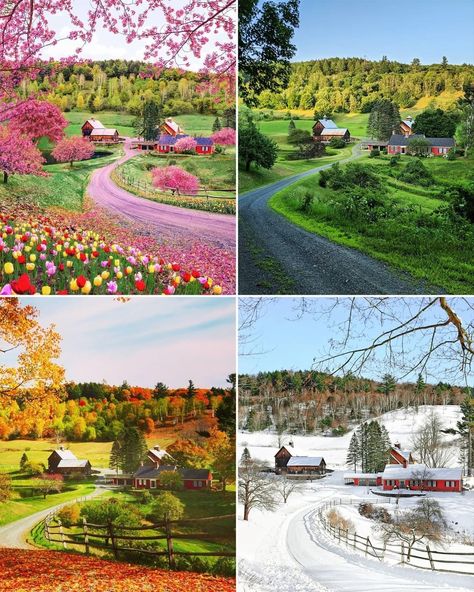 The Boston Calendar on Instagram: “Spring, summer, fall, and winter at Sleepy Hollow Farm in Pomfret, VT 🌸🌿🍂❄️ Photo sources in order: @kjp, @zoefffff, @dea_elysia,…” Vermont Spring, Sleepy Hollow Vermont, Sugarbush Farm Vermont, Billings Farm Vermont, Sleepy Hollow Farm Vermont, Sleepy Hallow Farm Vermont, Snowy Farm, Vermont Vacation, Farm Cottage