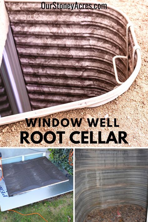 Diy Window Well, Homestead Gardening, Homesteading Tips, Modern Homestead, Food Preserving, Winter Veggies, When To Plant Vegetables, Wild Food Foraging, Veggie Gardens