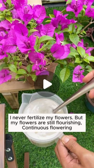 Plant Food Diy, Garden Ideas Diy Cheap, Flower Fertilizer, Small Garden Landscape, Indoor Water Garden, Garden Remedies, Plant Care Houseplant, Natural Fertilizer, Flowers Gardening