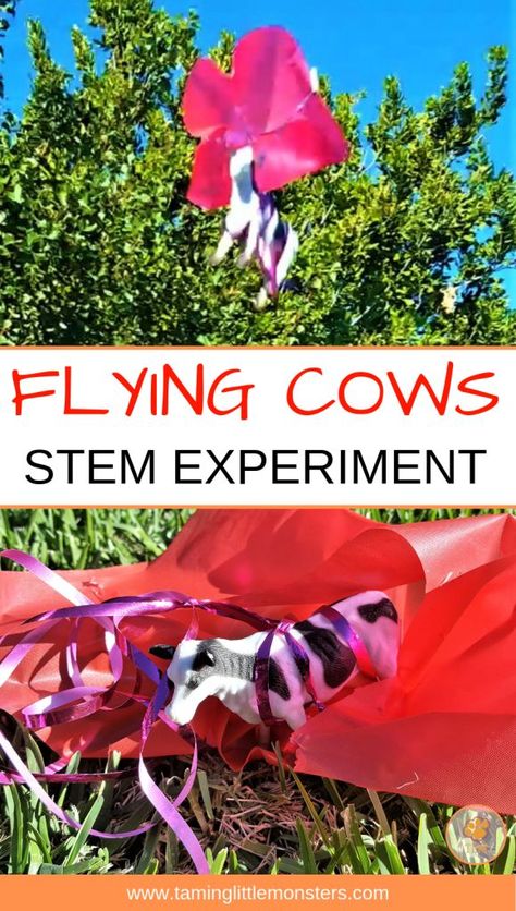 This flying cow STEM experiment is a fun take on a parachute experiment. Get your kids to design and test different parachutes to see which one is the best at helping the cow fly. When you have a winner, then it turns into a mini world and you’re all set to go on an adventure. These cows are up to something. Farm Science Experiments Preschool, Stem Activity For Kids, Kindergarten Art Activities, Farm Lessons, Stem Activities Preschool, Farm Theme Preschool, Stem Experiments, Preschool Stem, Farm Unit