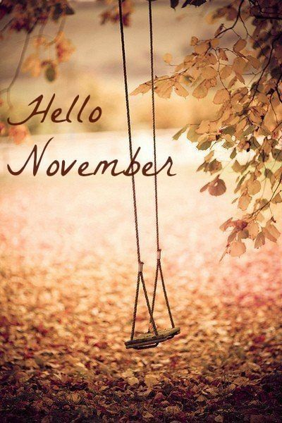 Hello November                                                                                                                                                                                 More Hallo November, Neuer Monat, Hello November, Tree Swing, Fall Inspiration, Fallen Leaves, Foto Tips, Easy Thanksgiving, Dream Backyard