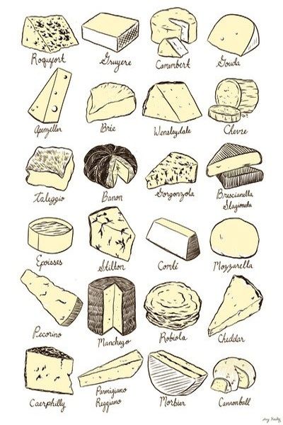 Cheeses Chart -All cheeses, both full-fat and 2%, including goat, cow, sheep (raw is best, but harder to find) Visit Wisconsin, Cheese Guide, Cheese Table, Cheese Art, Cheese Party, Types Of Cheese, Manchego, Wine Cheese, Society 6