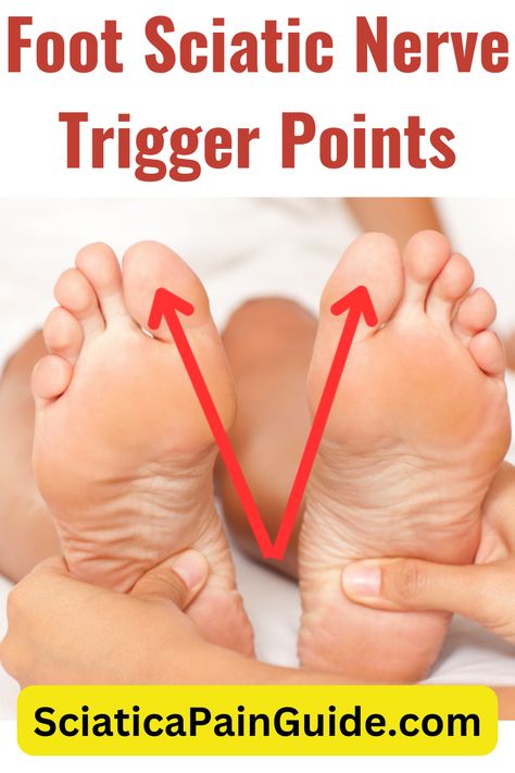 Foot Sciatic Nerve Trigger Points Siatic Nerve, Sciatic Nerve Exercises, Sciatica Massage, Nerve Pain Remedies, Sciatic Nerve Stretches, Nerve Relief, Sciatic Nerve Relief, Sciatic Nerve Pain Relief, Sciatica Stretches