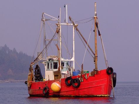 FISHING BOAT ARDENTINNY Aluminum Fishing Boats, Canoeing, Fishing Boat, Fishing Boats, Boats, Floating, Fishing, Water, Red