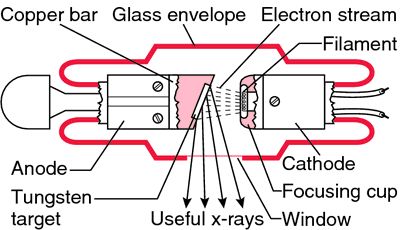 X-Ray Tube Diagram | Standard stationary anode x-ray tube; diagram in longitudinal section ... Xray Tube Diagram, X Ray Tube Diagram, X Ray Study Notes, Xray School, Dental Radiology, Rad Tech Student, Radiology Schools, X Ray Tube, Radiology Humor