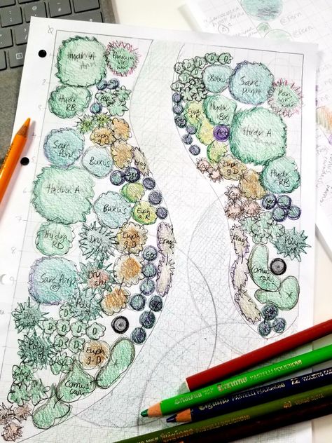 Landscape Architecture Planting Plan, Garden Design Plans Drawing Layout, Wide Garden Design Layout, Planting Design Plan, Prunus Serrula, Plant Layout, Planting Layout, Greek Garden, Garden Planning Layout