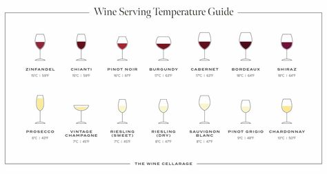 Wine Serving Temperature Guide - The Wine Cellarage Bordeaux Wine, Different Wines, Serving Wine, Types Of Wine, Natural Wine, Pinot Grigio, Zinfandel, Common Questions, Riesling