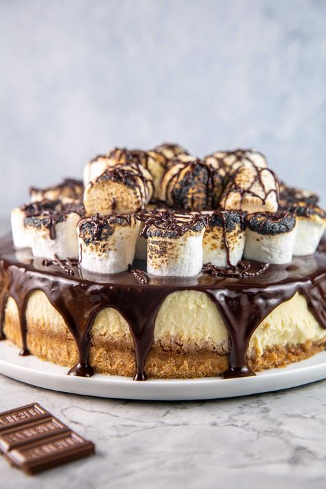 S’more Cheesecake, Cheesecake Topping Ideas, Cheesecake Business, Cheesecake Ganache, Marshmallow Cheesecake, Cheesecake Topping, Chinese Christmas, Bunsen Burner, Fanfic Ideas