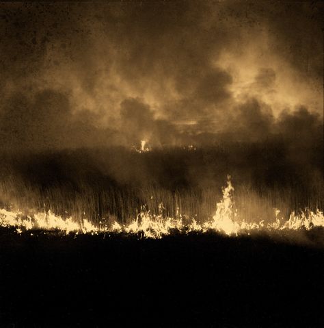 "Field Burning" Alabama. Burning Field Aesthetic, Burning Book Aesthetic, Burning Field, Brides Aesthetic, Burning Aesthetic, Mcr Albums, Deadly Premonition, The Burning Maze, Tragically Beautiful