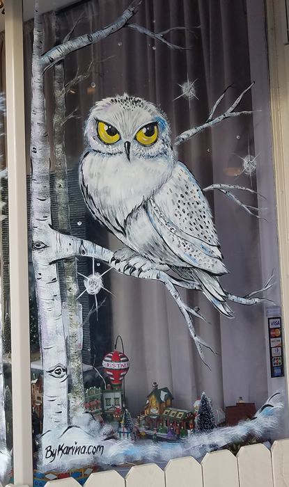 Painted Window Art, Christmas Window Painting, Window Mural, Decoration Vitrine, Window Drawing, Store Window Displays, Christmas Window Display, Winter Window, Christmas Window Decorations