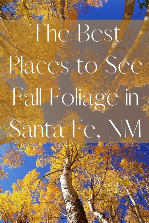 Fall Foliage Trips, Santa Fe Trail, Mother Daughter Trip, Sante Fe, Aspen Trees, Fall Hiking, Santa Fe Nm, Scenic Drive, Unique Beauty