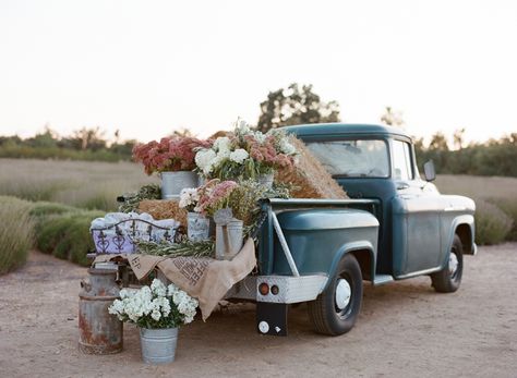 Viburnum Berries, Bear Flag, Flower Truck, Elizabeth Anne, Elegant Wedding Reception, Full Of, Wedding Arbour, Spring Wedding Colors, Dusty Miller