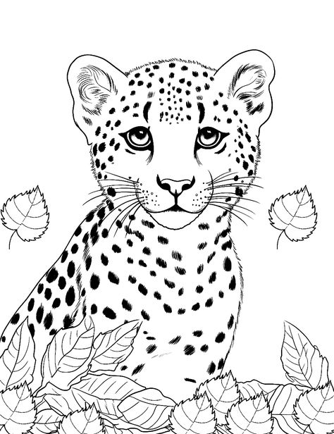 Asiatic Cheetah, Cheetah Drawing, Cheetah Cubs, African Savannah, Baby Cheetahs, Coloring Pages Free Printable, Butterflies Flying, Cheetahs, Free Anime