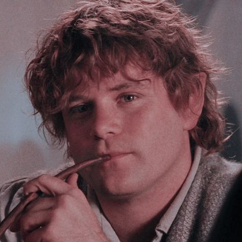 Samwise Gamgee Aesthetic, The Hobbit Icons, Samwise Gamgee Icon, Samwise Gamgee Wallpaper, Samwise Gamgee Art, Lord Of The Rings Icons Aesthetic, Sam Wise Gamgee, Sam Lord Of The Rings, Lotr Icons