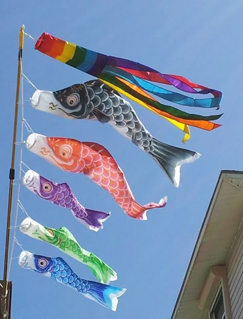 Japanese Fish Kite, Japan Presentation, Aya Takano, My Policeman, Japan Core, Air Element, Japanese Fish, Flying Fish, Kite Flying