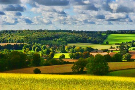 *🇬🇧 A valley in the Chiltern Hills at the end of summer (Buckinghamshire, England) by Alex 🌾 A Room Of Ones Own, Baldwin Family, Colourful Nature, Water Shortage, Southern England, England Homes, Silver Sea, British Countryside, English Countryside