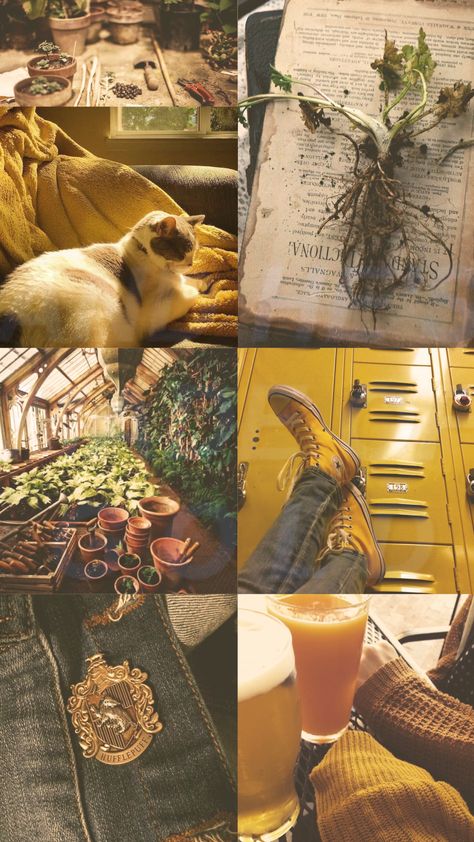 Hugglepuff Aesthetic, Hufflepuff Notebook, Badger Hufflepuff, Hufflepuff Room, Potter Wallpaper, Hufflepuff Aesthetic, Harry Potter Wallpaper, Harry Potter Aesthetic, Character Inspo