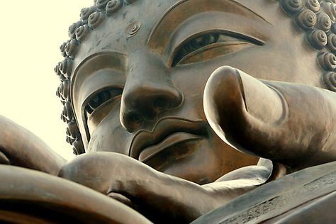 Harmonious Relationship, Lantau Island, Spiritual Community, Zen Buddha, Bamboo Grove, Arte Yoga, Nature People, Buddha Decor, Buddha Face