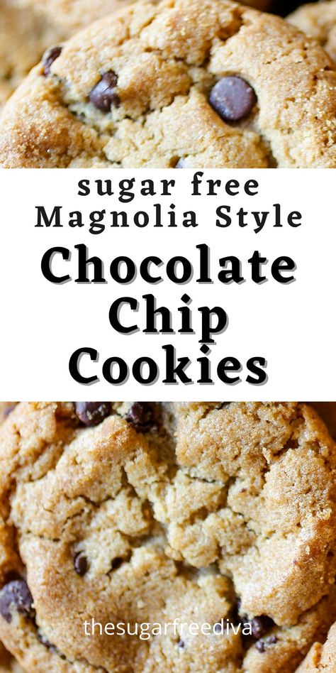 Stevia Cookies Recipes, Sugar Free Chocolate Chip Cookies Recipe, Sugarfree Cookies Recipe, Healthier Sugar Cookie Recipe, Cookie Recipe For Diabetics, Baking With Stevia Recipes, Low Sugar Chocolate Chip Cookies, Egg Free Sugar Cookies, Sugar Free Macarons