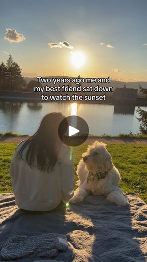 Today Tomorrow Forever, Lost For Words, I Am Yours, I Will Love You, Pet Videos, Forever And Always, Feeling Frustrated, Movie Soundtracks, Dogs Golden Retriever