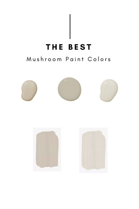 Mushroom Interior Doors, Light Mushroom Paint Color, Mushroom Cabinet Color, Mushroom Color Paint, Best Mushroom Paint Colors, Mushroom Paint Color, Bloom House, Mushroom Color, Mushroom Paint