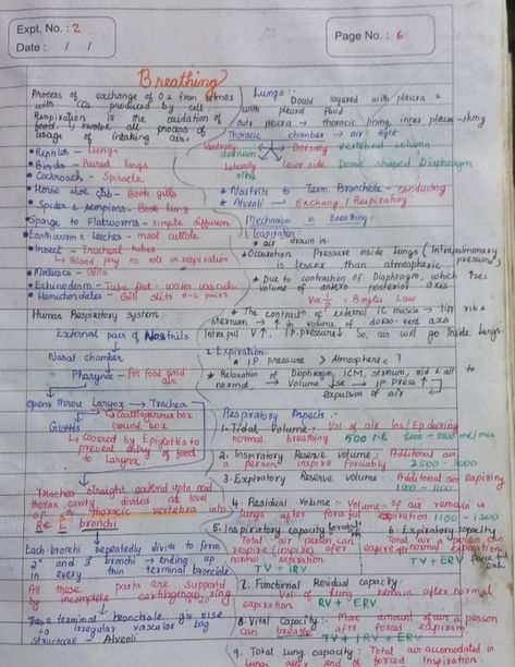 Notes of Breathing and Exchange of gases of Unit Human Physiology. Breathing And Exchange Of Gases, Neet Notes, Learn Biology, Human Physiology, Chemistry Basics, Study Chemistry, Chemistry Education, Study Biology, Medical Student Motivation