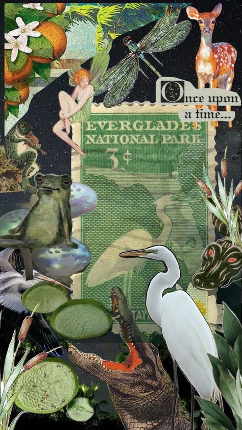 #florida #gators #alligator #swamp #swampcore #floridaeverglades #swamp #nature Swamp Core, Swamp Aesthetic Wallpaper, Spooky Swamp Aesthetic, Swamp Plants Illustration, Florida Swamp Aesthetic, Southern Gothic Aesthetic Swamp, Swamp Party, Witch Core, Nature Collage