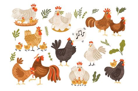 Chicken Vector, Hen And Chicks, Chicken Illustration, Cartoon Chicken, Hen Chicken, Chicken Art, Barnyard Animals, Hens And Chicks, Animal Illustration