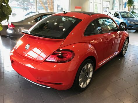 2017 SEL Beetle in Habanero Orange Red Beetle Volkswagen, Orange Vw Beetle, Orange Vw Beetle Convertible, 2005 Volkswagen Beetle, Volkswagon Convertible Beetle, 2000 Volkswagen Beetle, Vw New Beetle, Vw Rabbit, New Beetle