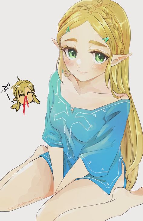 Breath Of The Wild Fanart, Legend Of Zelda Timeline, Botw Princess Zelda, Princess Zelda Art, Link Zelda Art, Zelda Funny, Nintendo Fan Art, Hyrule Warriors, Zelda Breath Of The Wild