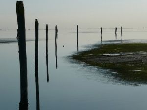 Venice Lagoon, Electric Boat, Venice Travel, Bologna, Boat Tours, Open Air, Venice, The Darkest, Solar