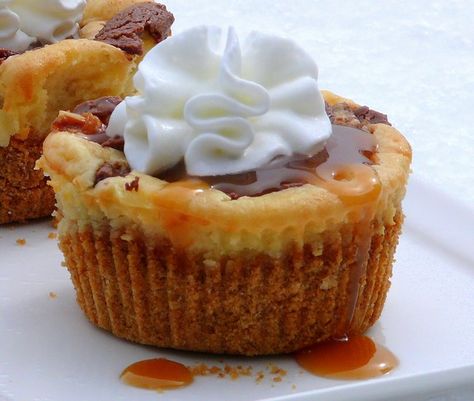 Mini snickers caramel cheesecakes -...I might already have this...not taking any chances...Repin All Things! Snickers Cheesecake, Caramel Cheesecake, Mini Cheesecakes, Yummy Sweets, Betty Crocker, How Sweet Eats, Mini Desserts, Eat Dessert, Sweets Desserts