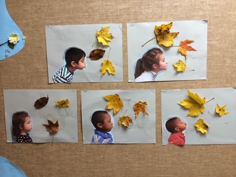 Infant Room, Tree Study, Fall Kindergarten, Fall Preschool, Fall Crafts For Kids, Autumn Crafts, Kindergarten Art, Classroom Crafts, Fall Projects