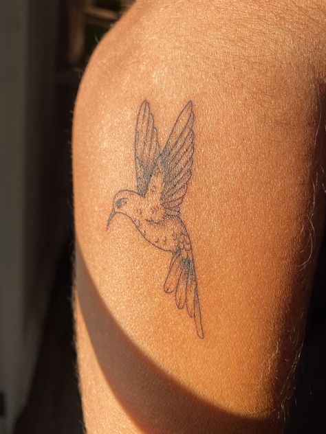 Fine Line Hummingbird, Fine Line Hummingbird Tattoo, Line Hummingbird, Swallow Tattoo, Hummingbird Tattoo, Birds Tattoo, Fine Line Tattoos, Tattoo Inspo, Art Aesthetic