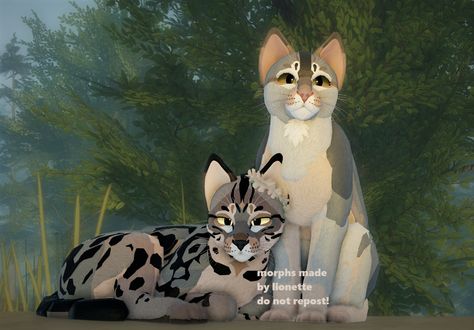 Wcue Morphs Shorthair, Warrior Cats Morph Ideas, Wcue Morph Ideas Shorthair, Cat Skin, Warrior Cats Fan Art, Warrior Cat Drawings, Warrior Cat Oc, Cat Oc, Kitty Games