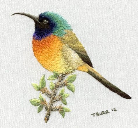 Orange Breasted Sunbird by Trish Burr.   Used with permission of Trish Burr Embroidery Store, Crewel Embroidery Kits, Embroidered Bird, Hardanger Embroidery, Embroidery Transfers, Pola Sulam, Embroidery Patterns Vintage, Bird Embroidery, Brazilian Embroidery