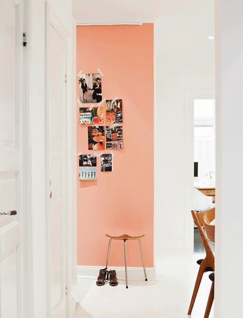 12 Fab Finds This Week Peach Walls, Style At Home, Pink Walls, Colour Palettes, White Trim, Home Fashion, Wall Color, My New Room, Feature Wall