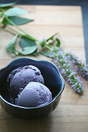 http://www.crumbblog.com/i-scream-you-scream-blueberry-hyssop/ Blueberry-Hyssop Ice Cream Lavender Ice Cream, Blueberry Ice Cream, Fresh Fruit Recipes, Ice Cream Popsicles, Homemade Ice, Party Desserts, Cream Recipes, Homemade Ice Cream, Lavender Flowers