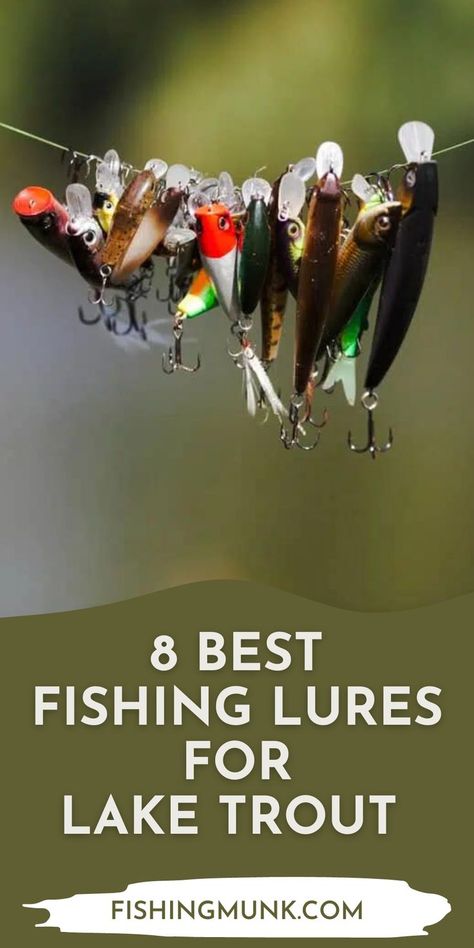 Discover the eight best fishing lures for lake trout. A majority of the trout lures mimic the appearance of insects - which is a trout delicacy. The lures have an almost realistic look and often appear as a flying bug trapped on the surface of the lake water. Trout are known to be finicky feeders which means that the more realistic your lures and bait look, the better your chances of getting a bite. Best Trout Lures, Lake Trout Fishing, Trout Fishing Lures, Best Fishing Lures, Lake Trout, Trophy Fish, Trout Fishing Tips, Trout Bait, Fishing For Beginners