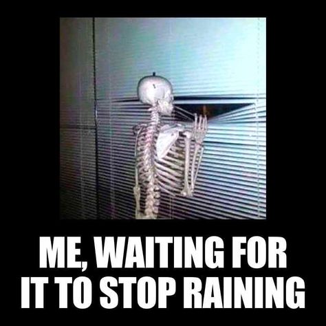 Stop Raining Meme Funny, Raining Again Humor, Stop Raining Humor Hilarious, Raining Memes Humor, Funny Rain Quotes Humor, Rain Funny Humor Rainy Days, Rain Memes Funny, Rainy Day Funny Quotes, Stop Raining Humor