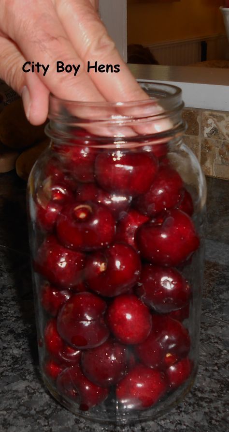 Drunken Cherries Recipe, Drunken Cherries, Homemade Liqueur Recipes, Cherry Bounce, Recipes Using Dill, Dill Pickle Vodka, Pickle Vodka, Bourbon Cherries, Cherry Vodka